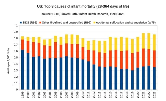 infant mortality and vaccines research, vaccine timing and infant death risk, pediatric vaccine safety analysis, informed consent and childhood vaccination, emerging evidence on infant vaccination outcomes